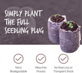 Magic Pen and Mini Planter - EKT3624